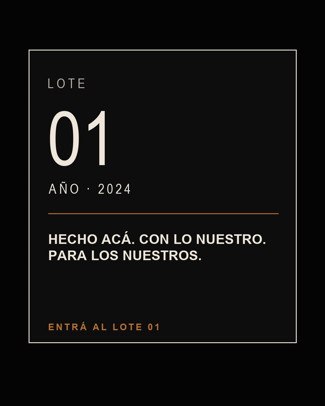 Lote 01